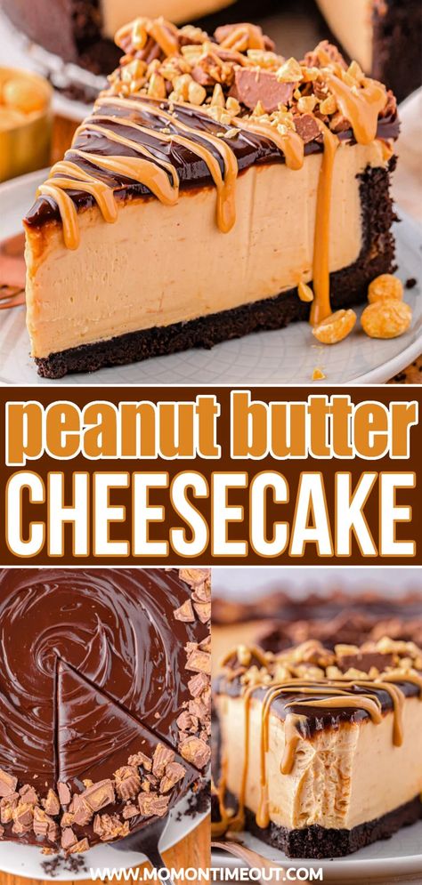 Peanut Butter Pie Cheesecake, Chocolate Dessert For Potluck, Peanut Butter Cheesecake With Oreo Crust, Peanut Butter Topping For Cheesecake, Chocolate Pb Cheesecake, Dessert Recipes Chocolate Peanut Butter, Peanut Butter Cheesecake Cake, Chocolate Peanut Butter Cheesecake Recipes, No Bake Peanut Butter Chocolate Cheesecake