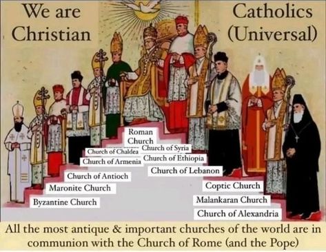 Catholic Theology, Human Element, Catholic Doctrine, Traditional Catholicism, Roman Church, Catholic Beliefs, Catholic Pictures, Saint Quotes Catholic, Robert Kardashian