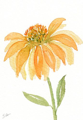 Painting Coneflowers, Hur Man Ritar Blommor, Watercolor Flowers Tutorial, Watercolor Paintings For Beginners, Watercolour Inspiration, Watercolor Projects, Watercolor Paintings Easy, Watercolor Flower Art, Watercolor Painting Techniques