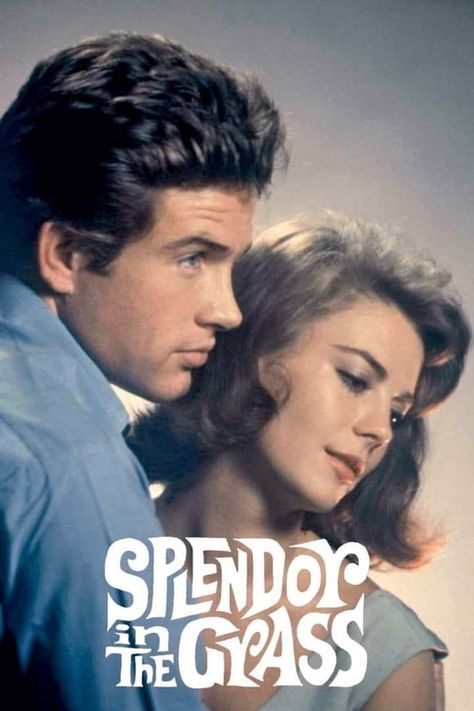 Splendor in the Grass Splendor In The Grass, Paintings For Living Room, Warren Beatty, Splendour In The Grass, Wall Art Decor Prints, Old Movie, Turner Classic Movies, Natalie Wood, Spoiler Alert