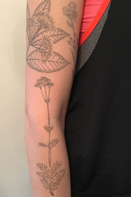 We Share Our Raddest Tattoos — & The Surprising Intentions Behind Them  #refinery29  http://www.refinery29.com/tattoos-aesthetic-sentimental-value-meaning#slide-1  "I have a whole bunch of really lovely (if I do say so myself) gray-ink tattoos of botanical illustrations from old encyclopedias. I love them and think they're beautiful, but there is no secret meaning, and when I tell people that, they often don't believe me." — Amelia... Gray Tattoo Ink, Encyclopedia Tattoo, Gray Ink Tattoo, Grey Tattoo Ink, Grey Ink Tattoo, Armband Tattoo Meaning, Stretch Mark Tattoo, Tattoo With Meaning, Old Encyclopedias