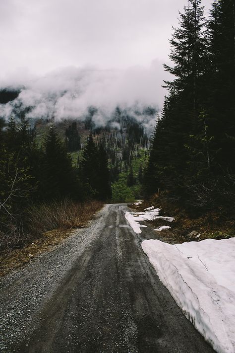 Forest Lore — urbanissues: vertical landscapes High Places, Wonderful Nature, The Mountains Are Calling, Dirt Road, Outdoor Photos, Dont Love, To Infinity And Beyond, Oh The Places Youll Go, Grog