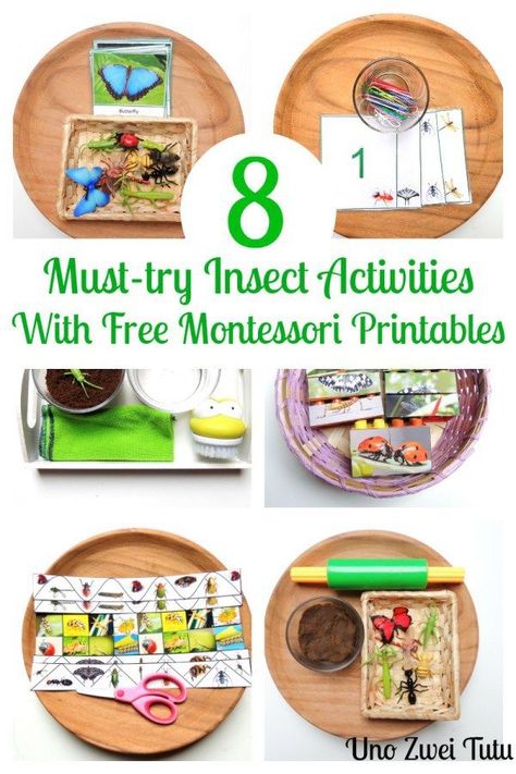 Montessori-inspired insect activities. Insects Activities, Lego Puzzle, Bug Activities, Insects Preschool, Bugs Preschool, Insect Activities, Montessori Printables, Learning Spanish For Kids, Montessori Lessons