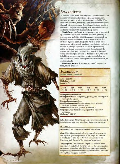 Scarecrow 5e Monster Manual, Dnd Stats, Dragons 5e, Dungeons And Dragons Memes, Dungeon Master's Guide, Dnd Races, Dnd Classes, Dungeons And Dragons 5e, Dungeons And Dragons Classes