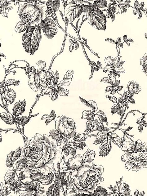 Wallpaper In Home, Vine Wallpaper, Black And White Gif, Wallpaper Black And White, Black Toile, Washable Wallpaper, Toile Wallpaper, Floral Toile, Scenic Wallpaper