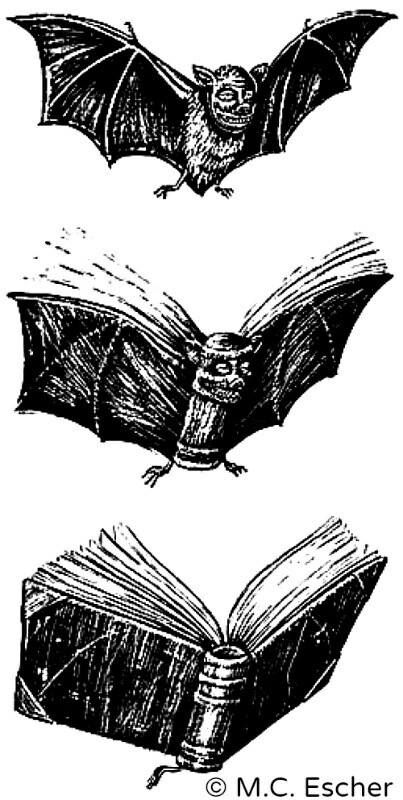 Mc Escher Art, Transformation Art, Metamorphosis Art, Escher Art, Bats Flying, M C Escher, Bat Art, Mc Escher, Psy Art