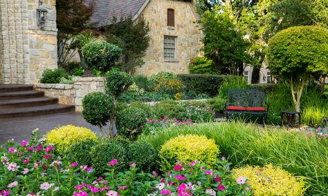 7 Texas Evergreen Shrubs Perfect for Your North Texas Landscape Texas Evergreen Shrubs, North Texas Landscaping, Texas Landscaping Ideas, Texas Flower Bed Ideas, Texas Flower Bed, Landscape Ideas Front Yard Curb Appeal, Texas Landscaping, Evergreen Landscape, Texas Native Plants