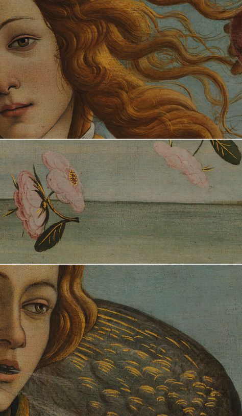 Details from Botticelli’s Birth of Venus Venus Art, Istoria Artei, Birth Of Venus, Rennaissance Art, Arte Van Gogh, Wallpaper Pastel, Mythology Art, Arte Inspo, Classical Art