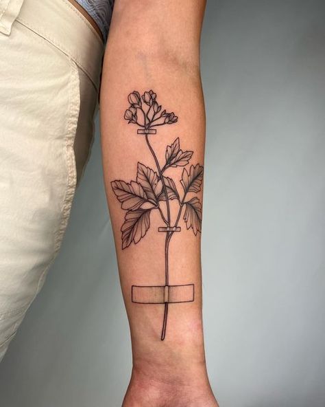 Noelle Adrienne Tattoos on Instagram: "A specimen from Emily Dickinson’s herbarium for Julia! 🖤 books open Nov 1st . . . . . . . . #emilydickinson #pressedflowers #pressedflower #herbarium #specimen #botanical #botanicaltattoo" Emily Dickinson Inspired Tattoos, Dickinson Tattoo Ideas, Herbarium Tattoo, Emily Dickinson Tattoo Ideas, Pressed Flower Tattoo, Emily Dickinson Tattoo, Dickinson Tattoo, Favorite Tattoos, Books Open