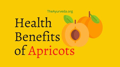 Apricots are rich in vitamins and minerals. They are yellow-orange in colour. It is one of the most versatile fruits. Some countries like Russia, Spain, Turkey, Italy, France and the U.S are known as leading producers of apricots. It is said that the nutritional content of apricot provides you with 12% of vitamin A, 12% […] The post Health Benefits of Apricots appeared first on Theayurveda. Apricot Health Benefits, Apricot Benefits, High Potassium, Intestinal Health, Improve Metabolism, Improve Gut Health, Improve Heart Health, Healthy Bacteria, Skin Disorders