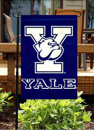 University Inspiration, New Haven Connecticut, Ivy League Schools, Sports Flags, College Vision Board, Yale University, Bulldogs Football, Ivy League, University Logo