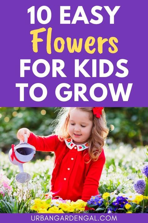 kids growing flowers How Do Flowers Grow Preschool, How Do Plants Grow Preschool, Planting With Kids Activities, Growing Gardens Toddler Activities, Grass Growing For Kids, Montessori Garden, Drought Tolerant Annuals, Planting Flowers From Seeds, Flowers For Kids