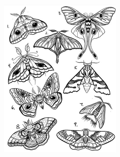 Moths Tattoo Design, Moth Metamorphosis Tattoo, Butterfly And Moth Drawing, Flash Moth Tattoo, Moth Flash Art, Moth Design Tattoo, Moth Tattoo Flash Sheet, Moth Shapes, Io Moth Tattoo