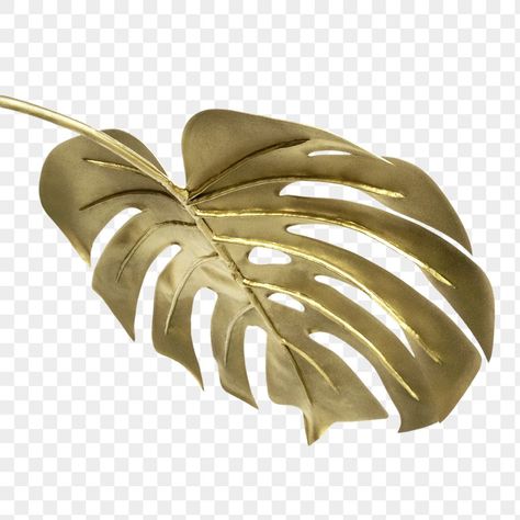 Gold Monstera Leaf, Best Stocks, Golden Leaves, Monstera Leaf, Free Illustrations, Tropical Leaves, Gold Gold, Transparent Png, Free Image