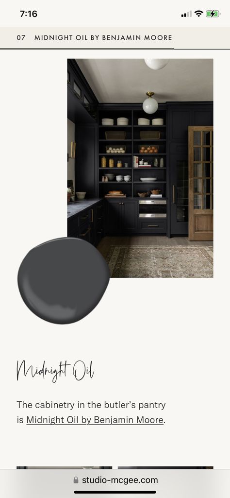 Charcoal Kitchen Cabinets, Caviar Sherwin Williams, Charcoal Kitchen, Moody Kitchen, Paint Cabinets, Butler's Pantry, Best Black, Kitchen Pantry, Painting Cabinets