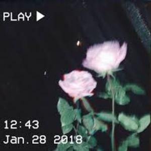 Playlist Covers For Hype Music, Spotify Playlist Covers Flowers, Aesthetic Spotify Playlist Covers Grunge, Album Covers For Playlists, Aesthetic Album Covers Spotify, Hype Aesthetic Playlist Covers, Fav Songs Playlist Cover, Hype Spotify Playlist Covers, Play List Covers Aesthetic