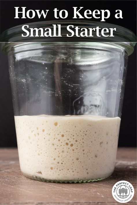 Small Sourdough Starter, Sour Dough Starter Jar, Small Batch Sourdough Starter, Diy Yeast, Miracle Bread, Starter Dough, Sourdough Starter Jar, Sourdough Tips, Make Sourdough Starter