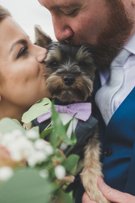 Small Dog Wedding Attire, Wedding Couple With Dog, Wedding Dog Photography, Bride And Groom With Dog, Wedding Photo Ideas Dog, Wedding Dog Photos, Wedding Photo With Dog, Wedding Pictures With Dogs, Wedding Photos With Dogs