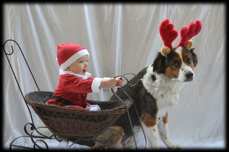 Christmas Card Ideas with Baby and Dog Baby Santa, Photo Halloween, Baby Christmas Photos, Xmas Pictures, Xmas Photos, Heartwarming Photos, Dog Christmas Card, Christmas Portraits, Christmas Shoot