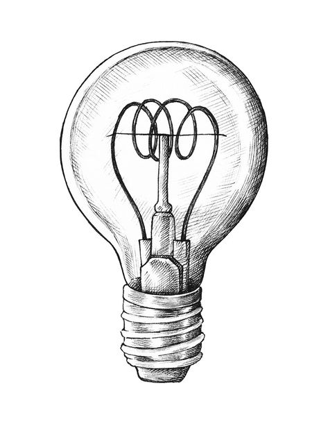 Hand-drawn light bulb illustration | free image by rawpixel.com Flower In Lightbulb Drawing, Light Bulb Art Drawing, Light Bulb Sketch, Bulb Illustration, Light Bulb Illustration, Lightbulb Tattoo, Light Bulb Drawing, Bulb Art, Light Bulb Art