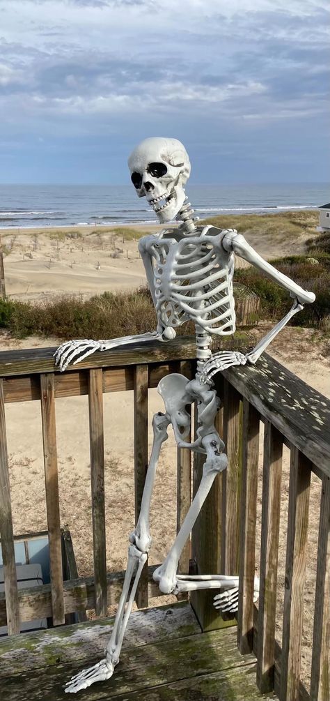 Skeleton Funny Poses, Funny Skeleton Pictures, Skeleton Decorations Outdoor, Skeleton Pics, Silly Skeleton, Gothic Wallpaper, Emoji Art, Funny Skeleton, Halloween Outdoor