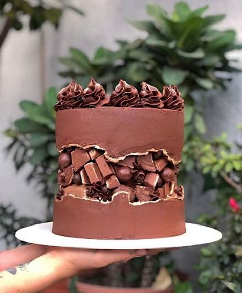 The Fault In Our Sweets — Cake Wrecks Fault Line Cake, Chocolate Cake Designs, Millionaire Shortbread, Mini Torte, Cake Wrecks, Chocolate Cake Decoration, Cake Decorating Designs, Crazy Cakes, New Cake