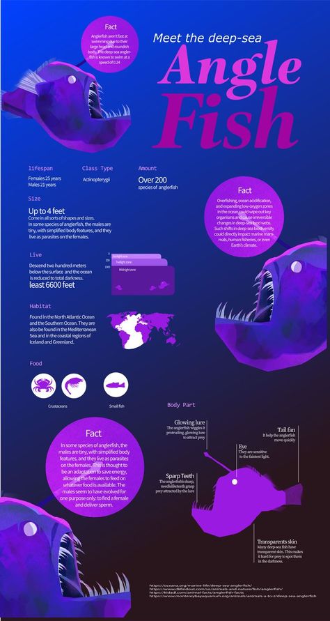 Fish Infographic, Ocean Acidification, Food Web, Angler Fish, Marine Biology, Wipe Out, Deep Sea, Fish