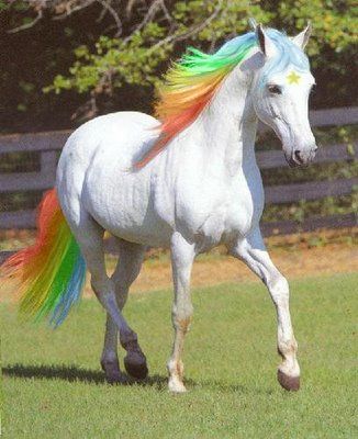 .... ! Horse Halloween Costumes, Horse Halloween, Horse Inspiration, Horse Costumes, Unicorn Pictures, Majestic Horse, Horse World, White Horses, Horse Photos