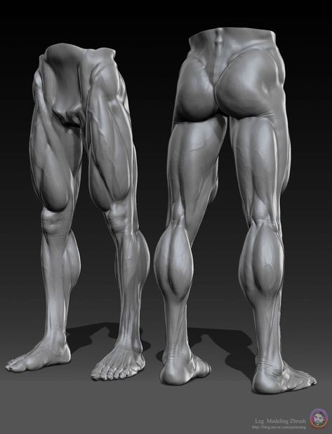 Leg Anatomy Sculpture, Male Leg Anatomy, Sculpting Videos, Hands Anatomy, Zbrush Anatomy, Boichi Manga, Leg Anatomy, Human Muscle Anatomy, Human Anatomy Reference