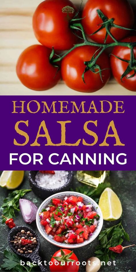 Can Salsa Recipe Canning, Homemade Salsa For Canning, Smoked Salsa Recipe, Mild Salsa Recipe, Fresh Salsa Recipe Homemade, Salsa For Canning, Garden Salsa Recipe, Salsa Recipe For Canning, Canning Homemade Salsa