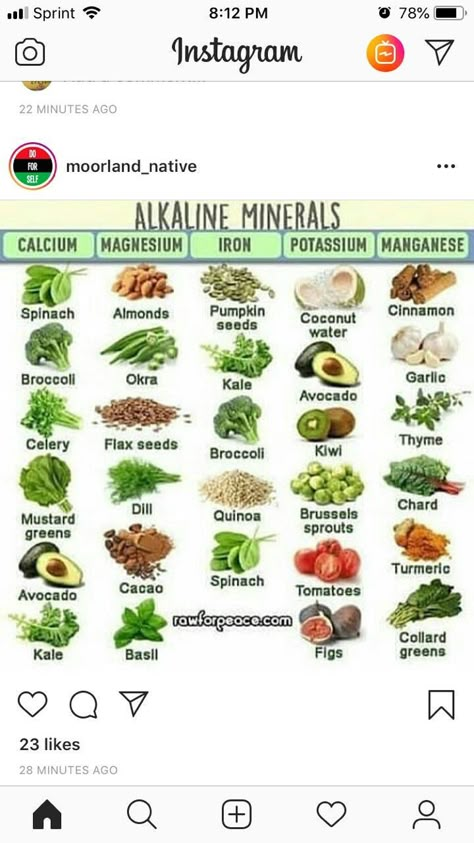 Keto Alkaline Food List, Alkaline Indian Foods, Alkaline Skin Care, Alcaline Food Diet, Alkaline Vegan Diet, Foods And Their Benefits, Dr Sebi Alkaline Food Recipe, Akline Diet Alkaline Foods, Alkaline Juice Recipes Dr Sebi