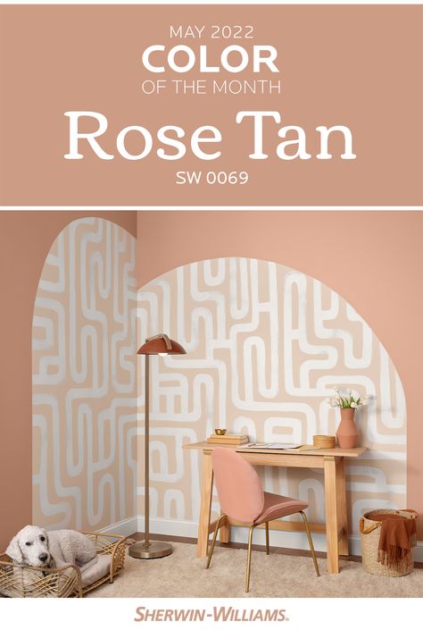 Tan And Pink Bathroom, Constant Coral Sherwin Williams, Rose Paint Color Sherwin Williams, Peekaboo Coral Sherwin Williams, Light Rust Paint Color, Sherwin Williams Rose Tan, Light Coral Walls, Boho Pink Paint Colors, Boho Peach Paint Colors