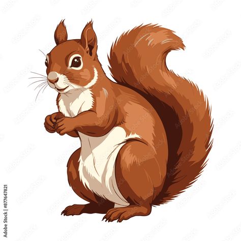 Squirrel Cartoon Character Illustration Squirrel Vector Illustration, Vintage Squirrel Illustration, Anime Squirrel, Golden Library, Squirrel Character, Squirrel Vector, Cowboy Hat Drawing, Squirrel Cartoon, Cartoon Squirrel