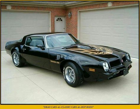 Smokey and the bandit Trans Am Firebird, Car Man Cave, Pontiac Trans Am, Pontiac Firebird Trans Am, Pontiac Cars, Firebird Trans Am, Pony Car, Pontiac Gto, Us Cars