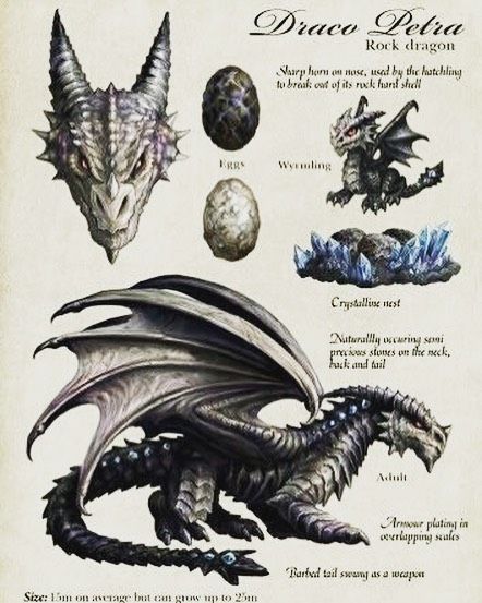 I love the look of this Dragon known as the rock dragon, but I would also call it a Black Dragon. Who here agrees? - - - -… Dragon Description, Rock Dragon, Dragon Anatomy, Creaturi Mitice, Types Of Dragons, Seni Vintage, Desenhos Harry Potter, Dragon Illustration, Dragon Pictures