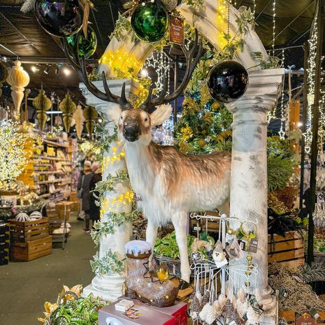 Summerhills Garden Centre Christmas displays looking beautiful again this year… with lots of fab selfie spots, they feature on my list of The Best Christmas Garden Centres in Essex, comment GARDEN if you would like to see the full list of wonderfully festive garden centres in Essex to visit. #christmas #christmasinessex #essex #essexchristmas #essexgardencentres #summerhillgardencentre #essex #essexblogger ##christmasgardencentres #festivedaysout #christmasdaysout #feelingfestive Christmas Days Out, Christmas Displays, Garden Centre, Christmas Garden, Christmas Display, Garden Center, Days Out, Best Christmas, Christmas Fun