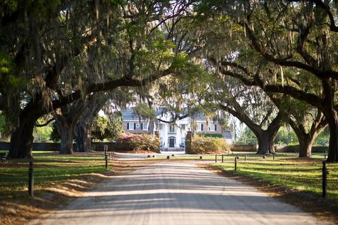 Step Back in Time in Charleston Proposal Spots, Boone Hall, Antebellum Homes, Wedding Needs, Most Romantic Places, Perfect Proposal, Military Figures, Front Lawn, Romantic Places