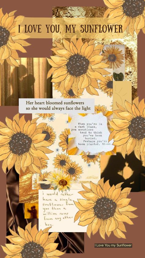 Sunshine Nickname, Million Roses, Dark Places, You And I, Sunflower, Collage, Plants