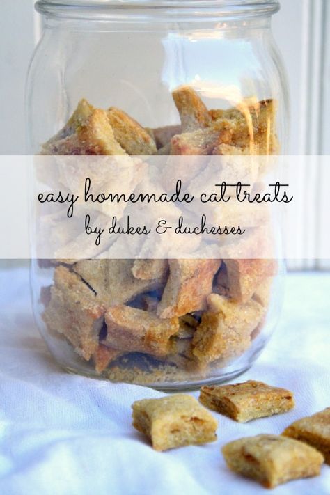 Homemade Cat Treats Easy, Homemade Cat Treats, Homemade Cat Treats Recipes, Catnip Treats, Pet Recipes, Homemade Pet Treats, Pet Treats Recipes, Homemade Cat Food, Animal Food