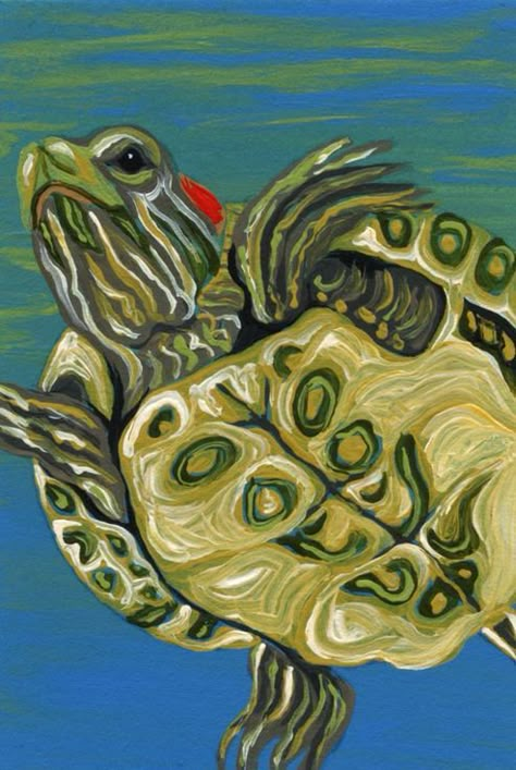 Tortoise Painting Acrylic, Red Ear Slider, Turtle Pet, Red Eared Slider Turtle, Slider Turtle, Red Eared Slider, Turtle Drawing, Artist Trading Card, Turtle Painting