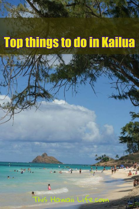 Kailua Oahu, Castle Beach, Kailua Beach, Oahu Travel, Travel Hawaii, Bar Scene, Visit Usa, Travel Bucket List Usa, Usa Travel Guide