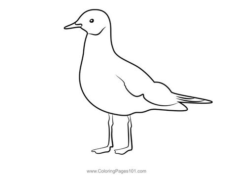 Young Seagull See Coloring Page Free Kids, Printable Coloring, Printable Coloring Pages, Coloring Pages For Kids, Coloring Page, Free Printable, Coloring Pages, Craft Projects, To Share