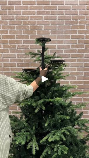 688 reactions · 140 shares | 🌟 A Unique Display for Your Christmas Tree 🌟
Elevate your holiday decor with this stunning 36-inch tall black Triple Tree Topper. Perfectly designed to... | By Liveing Need | Facebook Christmas Tree No Topper, Spray Tree Topper, Unusual Tree Toppers, Tree Trimming Ideas, Tree Toppers Christmas Unique, Unique Christmas Tree Toppers, Christmas Tree Toppers Unique, Unique Tree Toppers, Xmas Tree Toppers