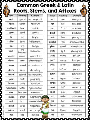 greek and latin word roots and stems Root Words Activities, Latin Root Words, Suffixes Worksheets, Teaching Latin, Text Structures, Prefixes And Suffixes, Latin Phrases, Latin Word, Greek Language