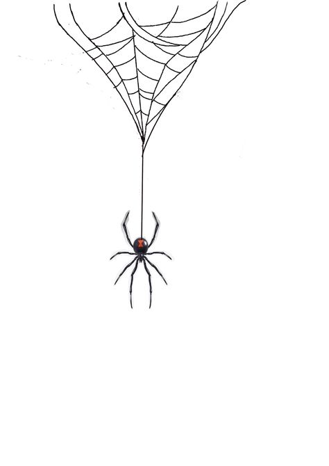 Hanging Spider Drawing, Spider With Web Tattoo, Spider Hanging From Web Tattoo, Spider Web Drawing, Tattoo Homme, Spider Drawing, Spider Web Tattoo, Web Tattoo, Spiderman Drawing