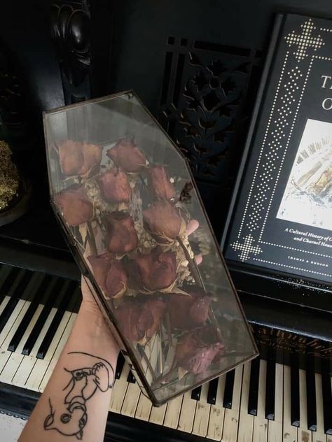 Glass Coffin Decor, Coffins Aesthetic, Oddities Wedding, Coffin Aesthetics, Coffin With Flowers, Coffin Crafts, Coffin Aesthetic, Coffin Flowers, Glass Coffin