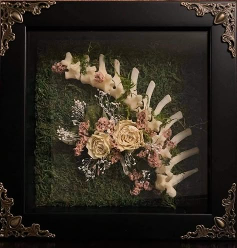 Bug Pinning, Entomology Decor, Floral Shadow Box, Crafts To Sell Ideas, Animal Skull Decor, Deer Skull Art, Cow Skull Decor, Oddities Decor, Creepy Crafts