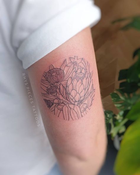 Waratah Tattoo Fine Line, Waratah Tattoo, Australian Native Tattoo, Australian Tattoo, Native Tattoos, Australian Natives, Australian Flowers, Fine Line Tattoo, Line Tattoo