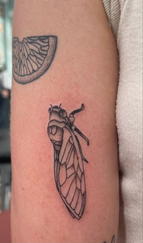 Small Cicada Tattoo, Simple Cicada Tattoo, Cicada Shell Tattoo, Katydid Tattoo, Cicada Tattoo Design, Cicada Tattoo, Tattoos 2022, Witchy Tattoos, Sister Tat