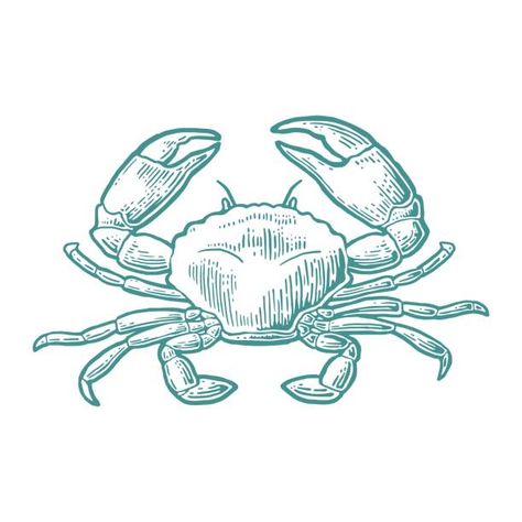 Crab Illustration, Crab Tattoo, Crab Art, Engraving Illustration, Desenho Tattoo, Pretty Drawings, Graphic Style, Free Vector Graphics, Lino Print